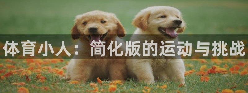 vsport体育官网下载平台注册要钱吗：体育小人：简化版的运