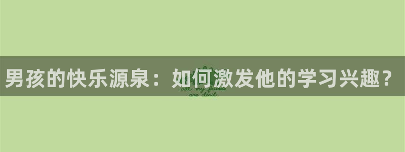 注册vsport体育官方正版app：男孩的快乐源泉：如何激发