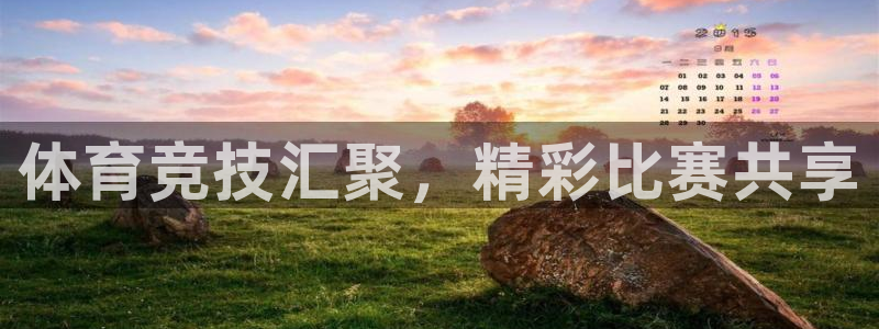vsport体育官网下载注册：体育竞技汇聚，精彩比赛共享