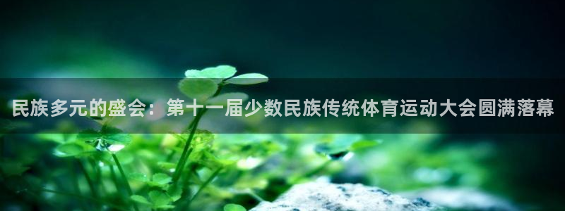 vsport体育官方正版app代理：民族多元的盛会：第十一届