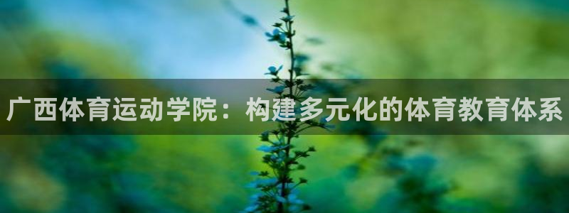 vsport体育官方正版app集团logo