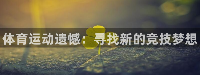 vsport体育官方正版app娱乐首页网站大全：体育