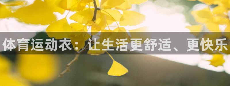 vsport体育官网下载平台是正规平台吗