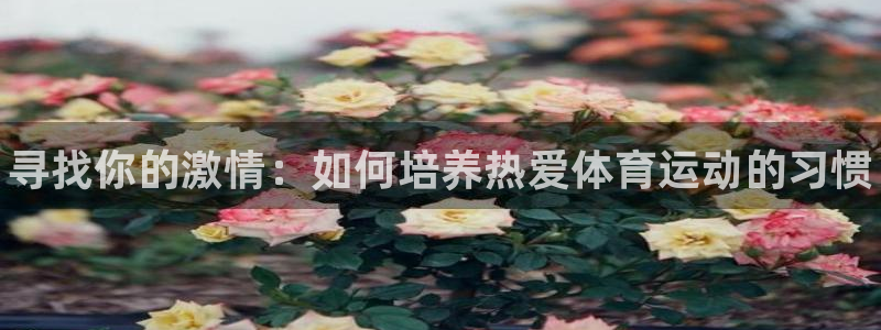 vsport体育官网下载平台是正规平台吗知乎：寻找你