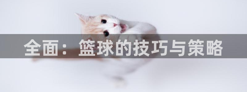 vsport体育官方正版app神州：全面：篮球的技巧