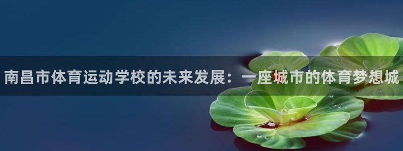 vsport体育官网下载平台假的吗是真的吗：南昌市体