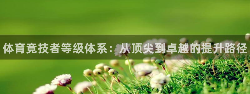 vsport体育官方正版app五金厂：体育竞技者等级