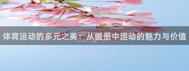 vsport体育官方正版app集团官网网址：体育运动
