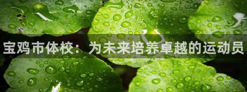 海南vsport体育官网下载：宝鸡市体校：为未来培养
