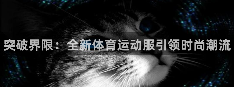 vsport体育官方正版app代理：突破界限：全新体