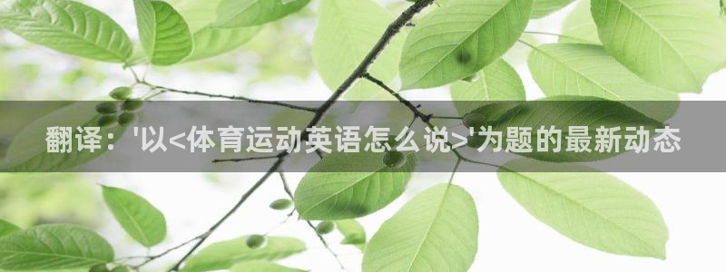 vsport体育官方正版app娱乐首页网站大全：翻译：\'以