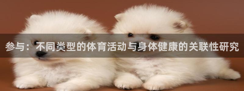 vsport体育官方正版app娱乐是那个系列的台子：