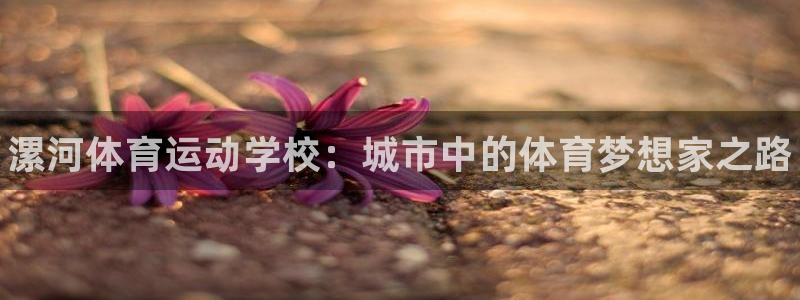vsport体育官方正版app娱乐40996：漯河体育运动学