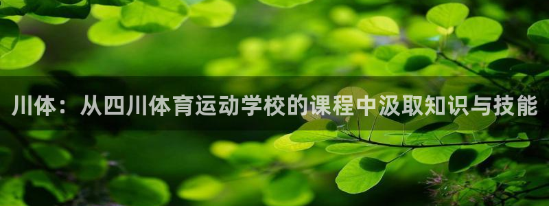 vsport体育官方正版app娱乐首页网站大全：川体