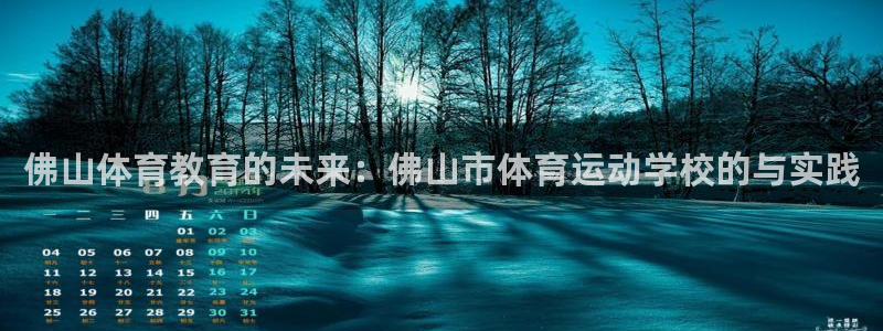 vsport体育官方集团官网：佛山体育教育的未来：佛