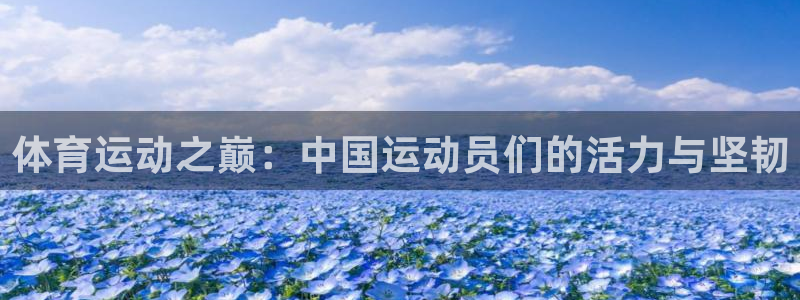 vsport体育官方正版app集团：体育运动之巅：中国运动员