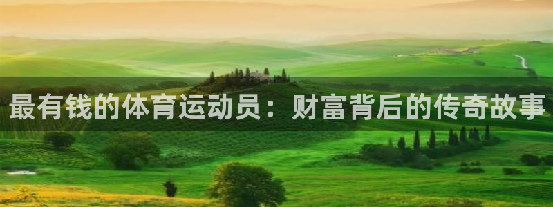 vsport体育官方正版app娱乐：最有钱的体育运动员：财富