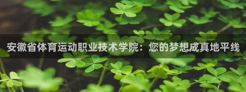 vsport体育官方正版app娱乐首页官网下载