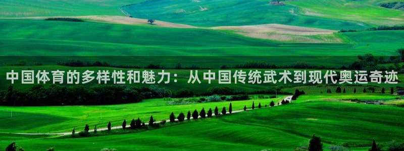 vsport体育官网下载平台假的吗是真的吗吗
