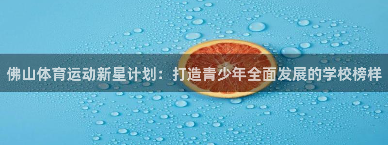 vsport体育官方正版app新能源：佛山体育运动新