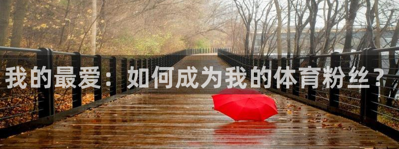 vsport体育官网下载平台：我的最爱：如何成为我的