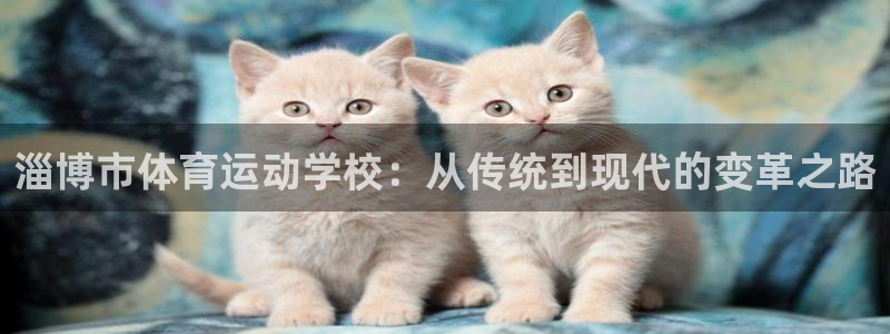 vsport体育官网下载招商电话是多少号码