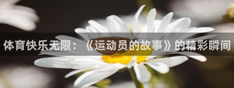 vsport体育官方正版app神州：体育快乐无限：《运动员的