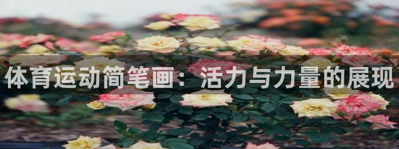 vsport体育官网下载招商电话：体育运动简笔画：活力与力量
