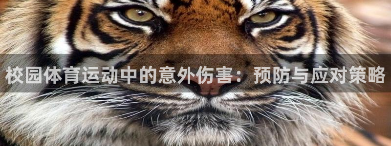 vsport体育官网下载招商电话号码查询：校园体育运动中的意