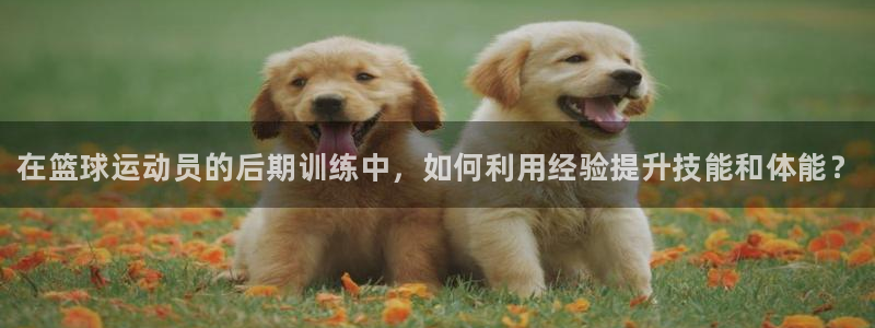 vsport体育官方正版app新能源：在篮球运动员的后期训练