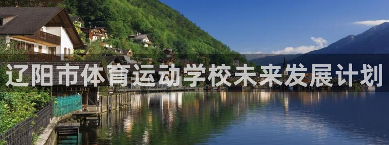 vsport体育官方正版app集团E.ON：辽阳市体育运动学