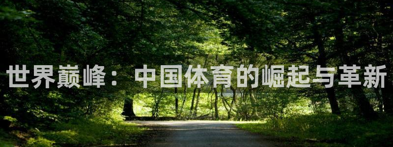 vsport体育官方集团官网：世界巅峰：中国体育的崛起与革新