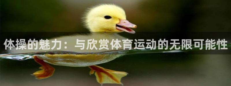 vsport体育官网下载开户：体操的魅力：与欣赏体育运动的无