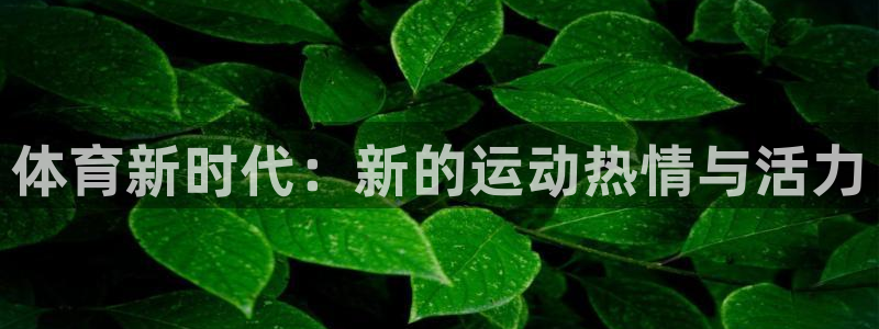 vsport体育官网下载招商电话是多少：体育新时代：
