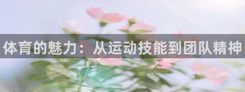 vsport体育官方正版app娱乐：体育的魅力：从运