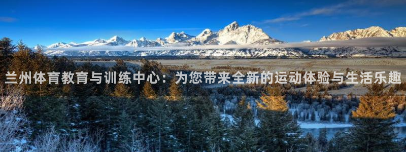 vsport体育官方正版app集团官网首页